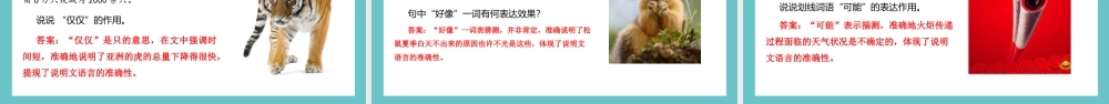 人教部编版小学六年级小升初语文专题复习-【阅读】说明文阅读之说明文语言特征-课件