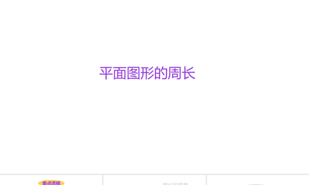 小学六年级小升初数学知识点精讲课件（平面图形的周长）