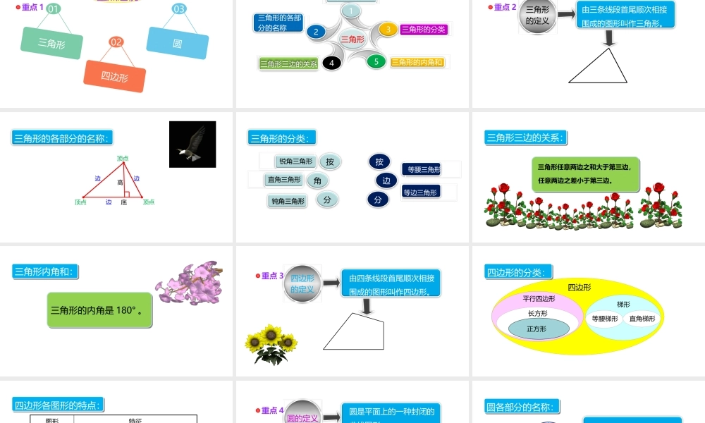 小学六年级小升初数学知识精讲课件（平面图形的认识）