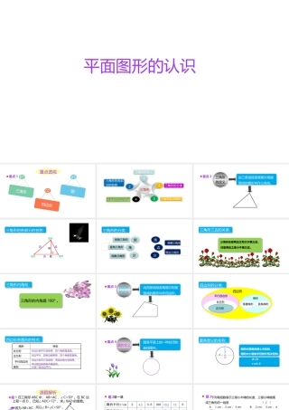 小学六年级小升初数学知识精讲课件（平面图形的认识）