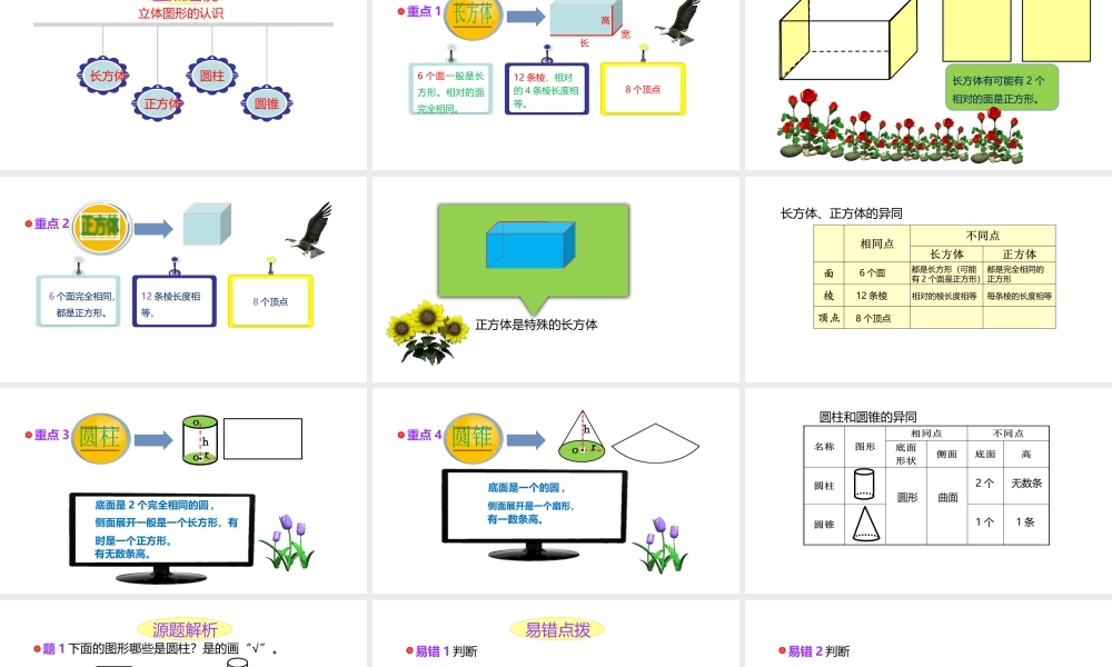 小学六年级一轮复习知识点精讲课件+立体图形的认识