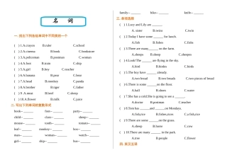 （2025-2026学年）小学英语语法逐项突破与精练（附答案）专题5.名词