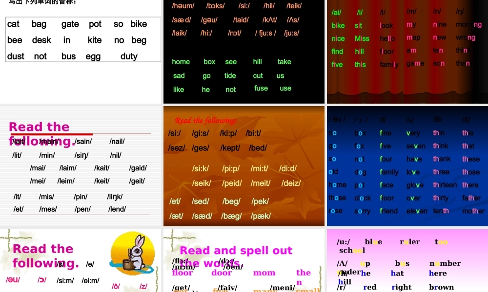 2025届小学六年级小升初音标复习与巩固课件