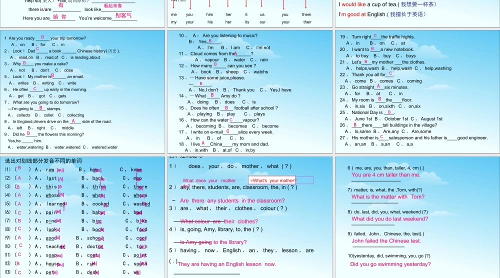 2025届小学六年级小升初英语语法专题复习课件——词汇