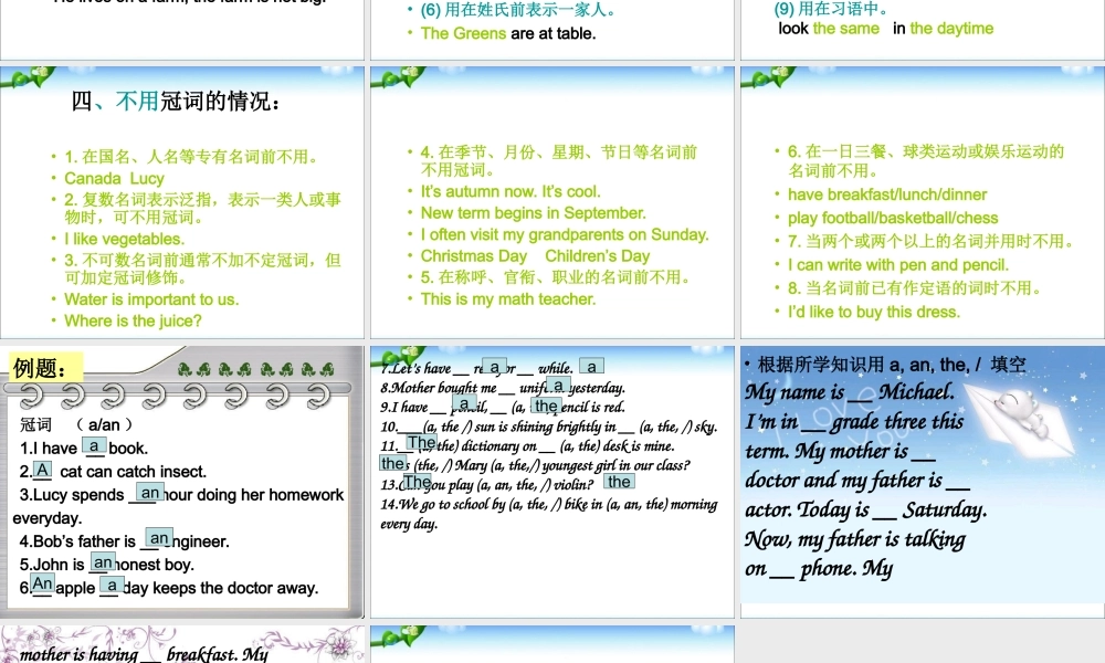 2025届小学六年级小升初英语语法专题复习课件——词类_冠词