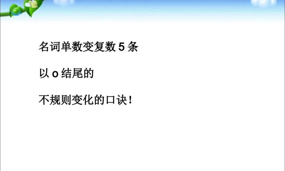 2025届小学六年级小升初英语语法专题复习课件——冠词