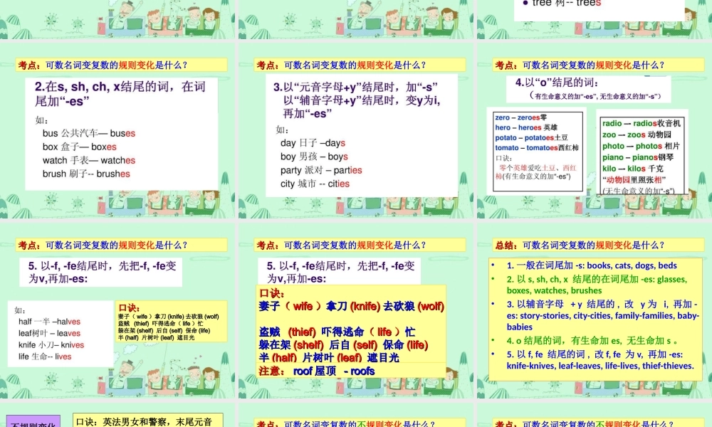 2025届小学六年级小升初英语语法专题复习课件——名词 (2)