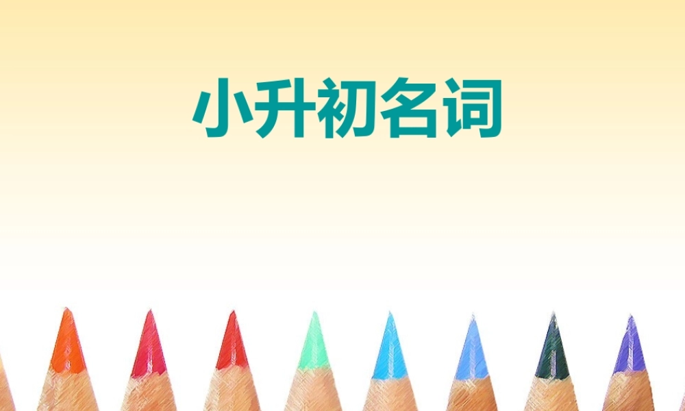 2025届小学六年级小升初英语语法专题复习课件——名词