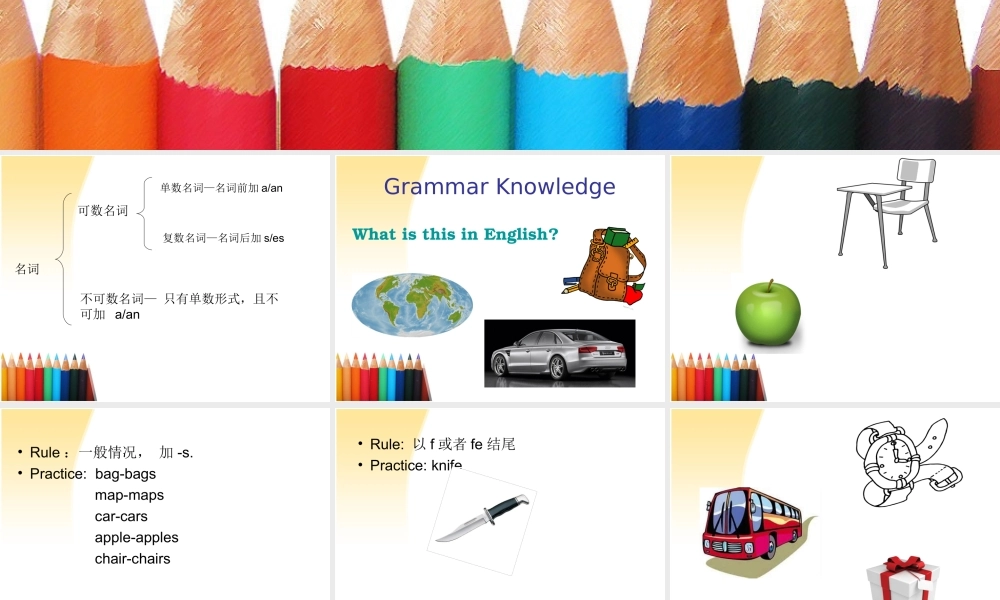 2025届小学六年级小升初英语语法专题复习课件——名词