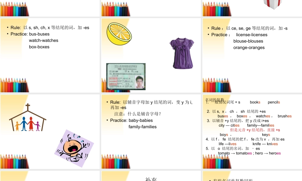 2025届小学六年级小升初英语语法专题复习课件——名词