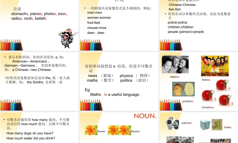 2025届小学六年级小升初英语语法专题复习课件——名词