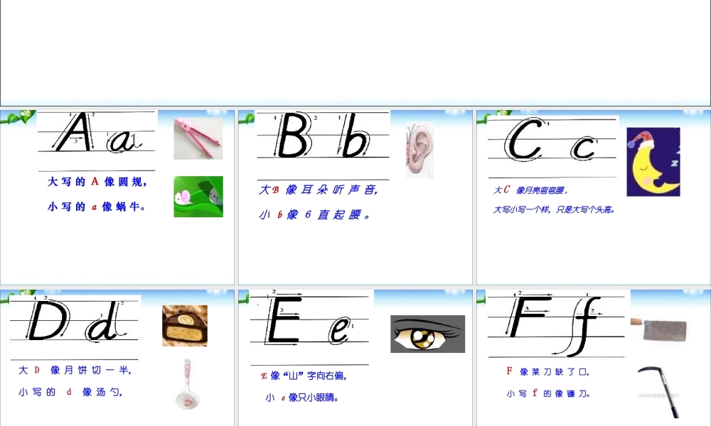 2025届小学六年级小升初英语语法专题复习课件——语音_字母