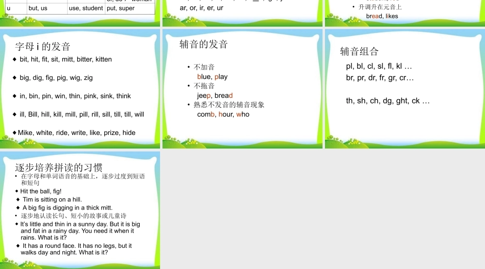 2025届小学六年级小升初英语语法专题复习课件——语音-音标