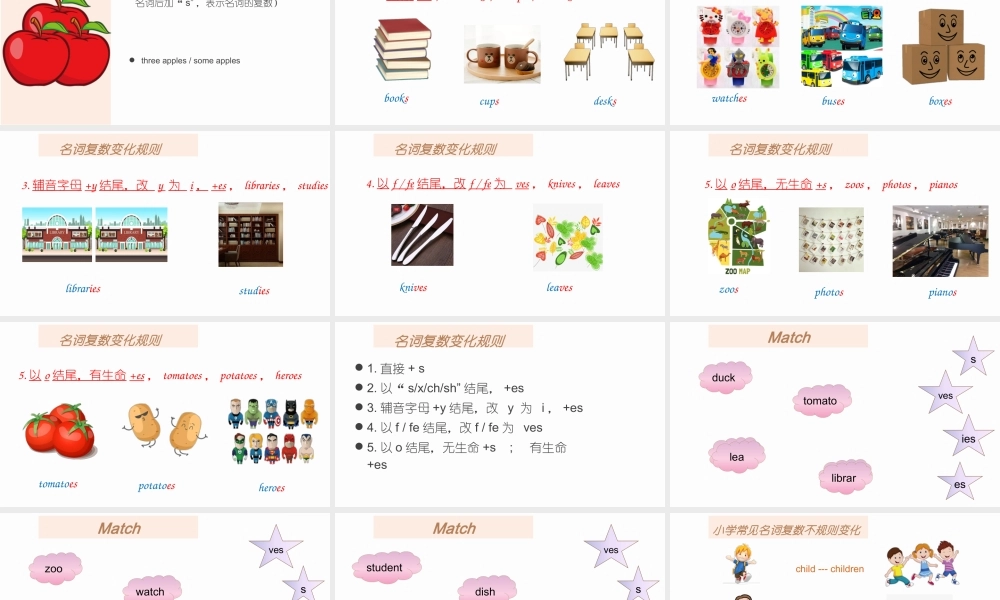 2025届小学六年级小升初英语语法总复习课件-可数名词单复数