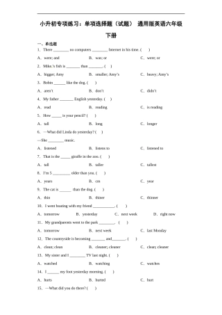 2025小学英语总复习专项练习2：单项选择题（附答案)