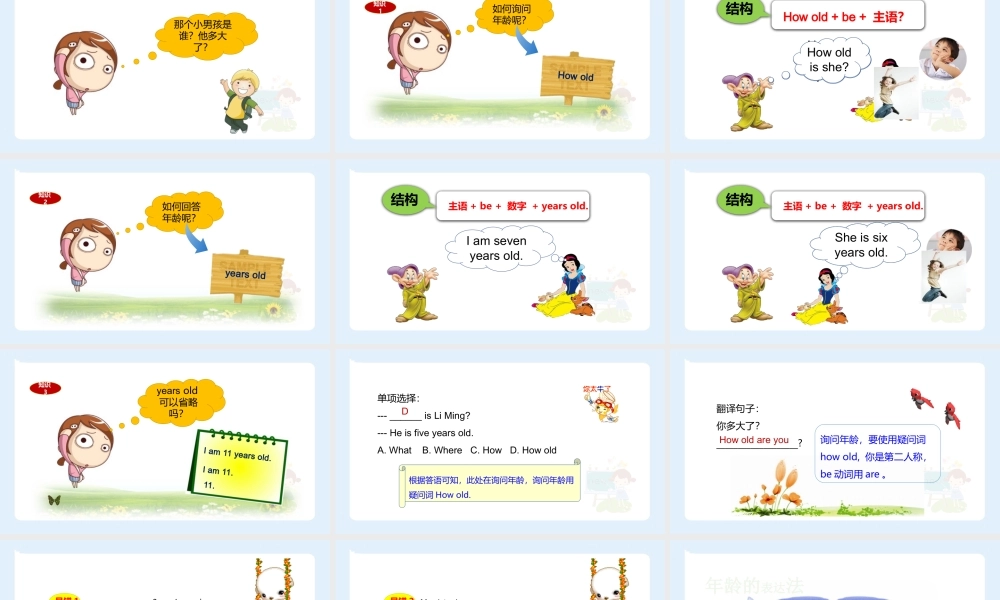 小学六年级小升初英语语法知识点精讲系列课件——(年龄表达法)