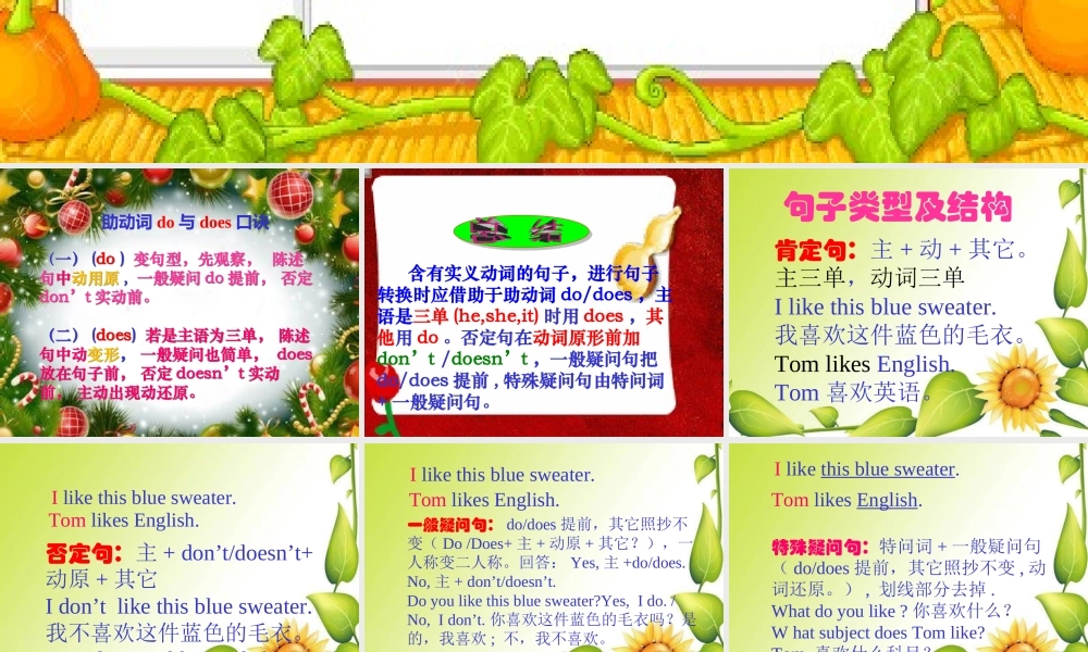 小学英语语法专题八：（动词）助动词do.does 课件