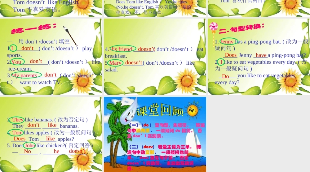 小学英语语法专题八：（动词）助动词do.does 课件