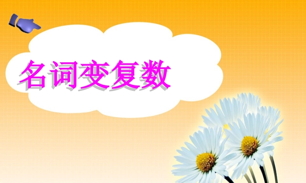 小学英语语法专题二：（名词）名词变复数 课件