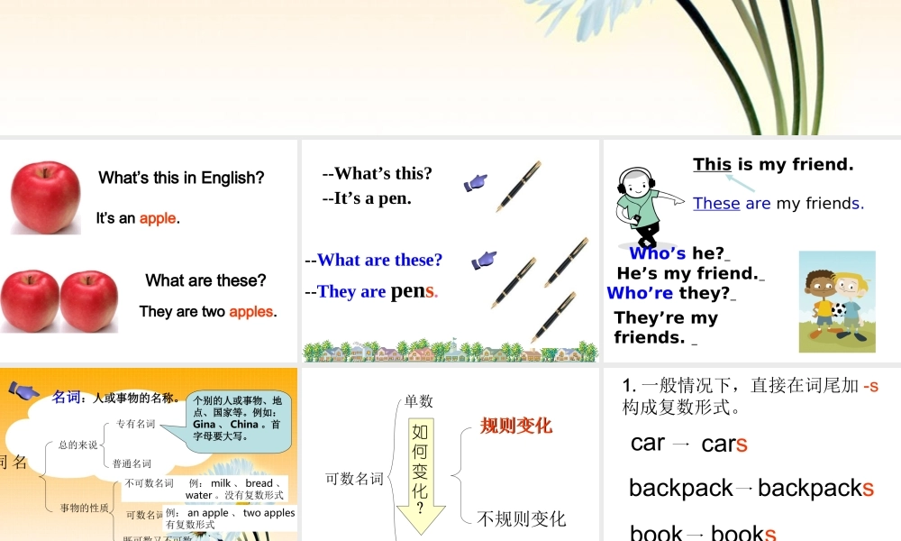 小学英语语法专题二：（名词）名词变复数 课件