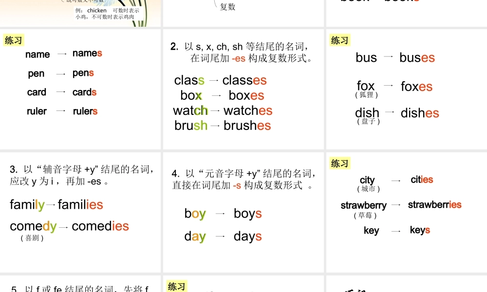 小学英语语法专题二：（名词）名词变复数 课件
