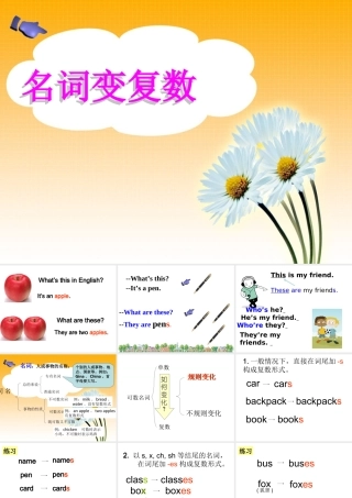 小学英语语法专题二：（名词）名词变复数 课件