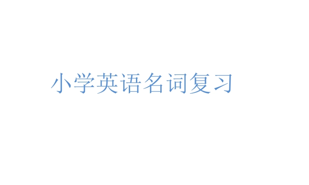 小学英语语法专题二：（名词）总复习1（48P） 课件