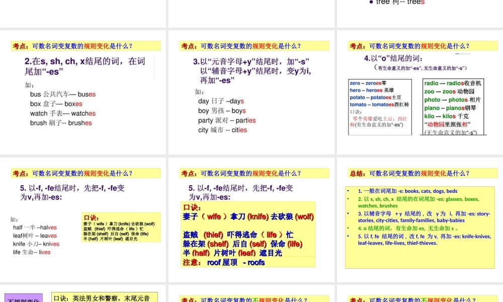 小学英语语法专题二：（名词）总复习1（48P） 课件