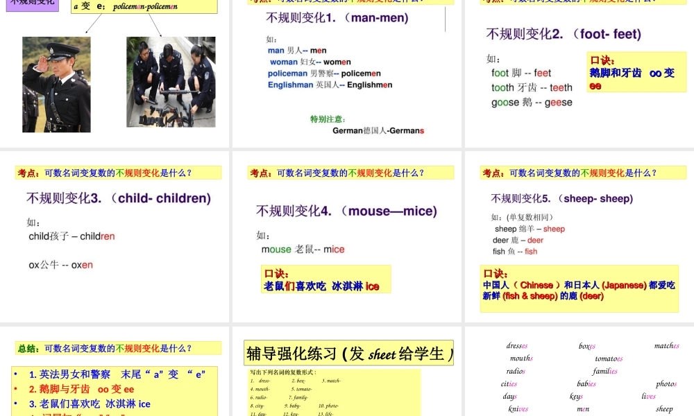 小学英语语法专题二：（名词）总复习1（48P） 课件