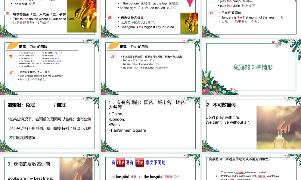 小学英语语法专题三：（冠词）定冠词与不定冠词1 课件