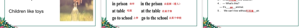 小学英语语法专题三：（冠词）定冠词与不定冠词1 课件