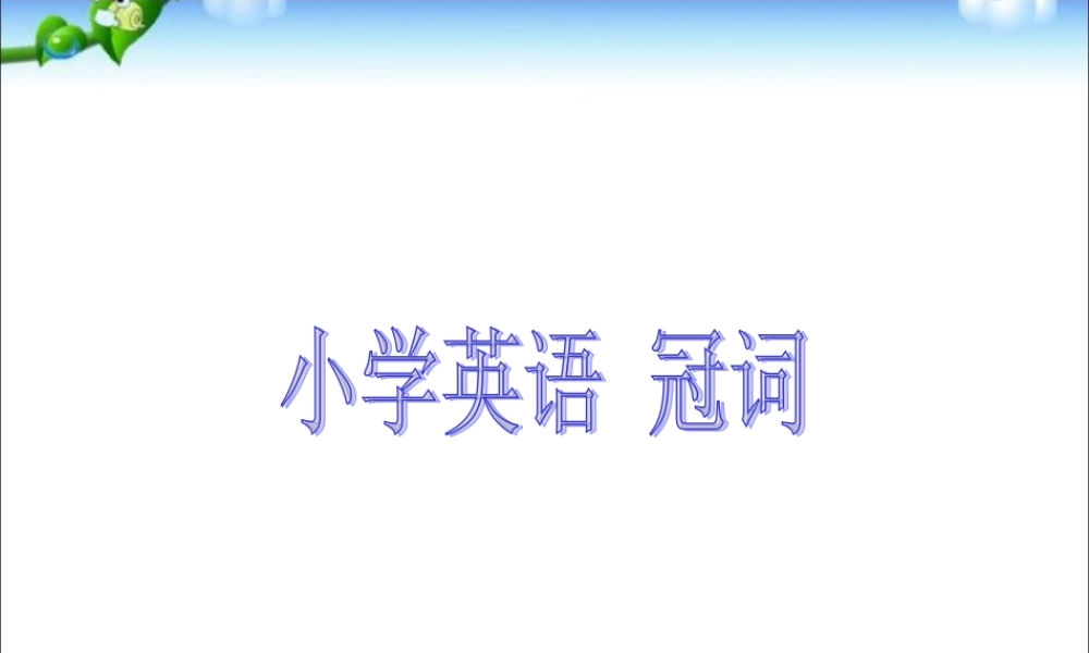 小学英语语法专题三：（冠词）定冠词与不定冠词2 课件