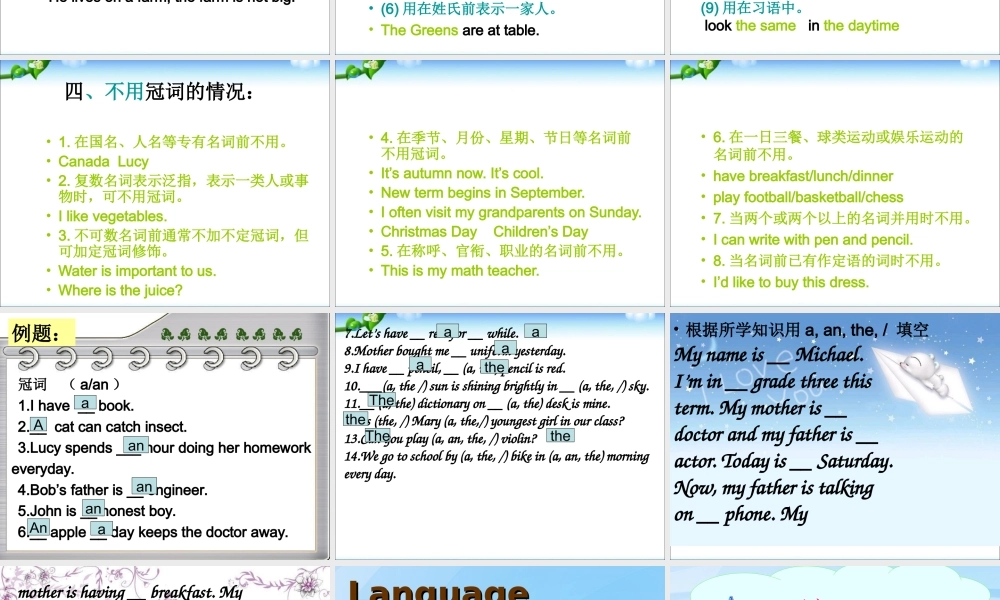 小学英语语法专题三：（冠词）定冠词与不定冠词2 课件