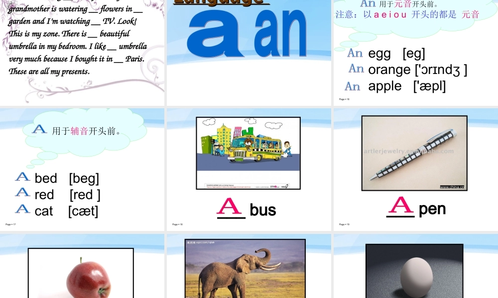 小学英语语法专题三：（冠词）定冠词与不定冠词2 课件