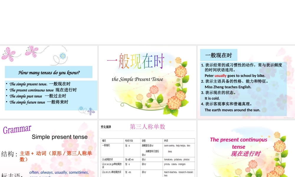 小学英语语法专题十：（时态）四大时态总复习（30P） 课件