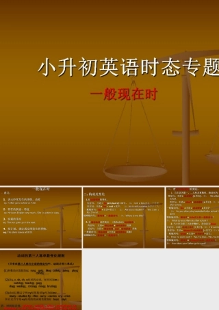小学英语语法专题十：（时态）一般现在时1 课件
