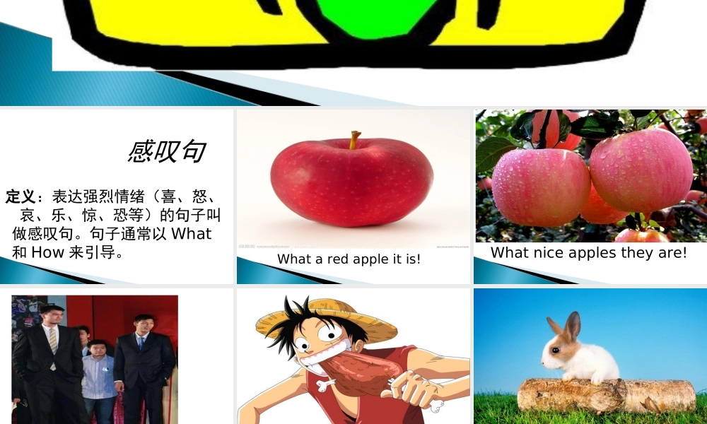 小学英语语法专题十二：（句型）How 和What引导的感叹句 课件