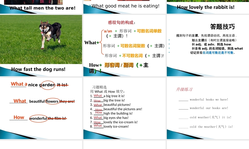 小学英语语法专题十二：（句型）How 和What引导的感叹句 课件
