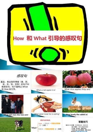 小学英语语法专题十二：（句型）How 和What引导的感叹句 课件