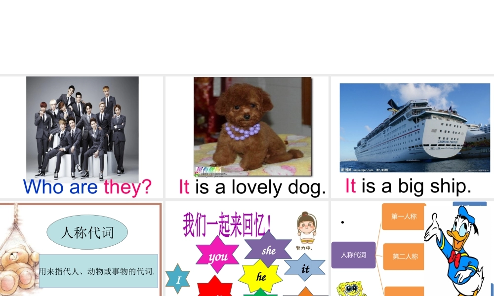 小学英语语法专题四：（代词）代词1 课件