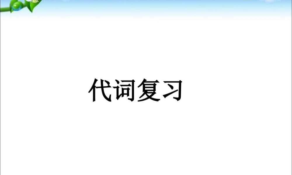 小学英语语法专题四：（代词）代词2 课件