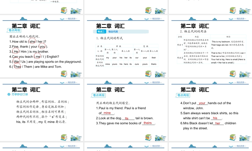 小学英语语法专题四：（代词）总复习（56P） 课件