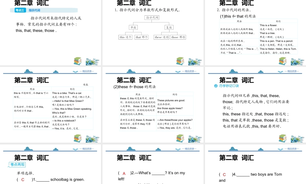 小学英语语法专题四：（代词）总复习（56P） 课件