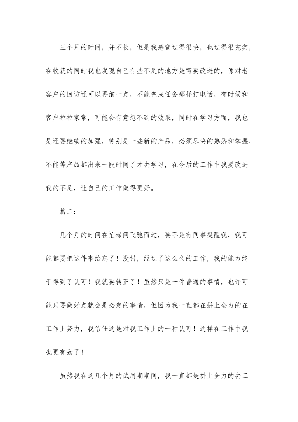 电话销售试用期转正工作总结_第3页