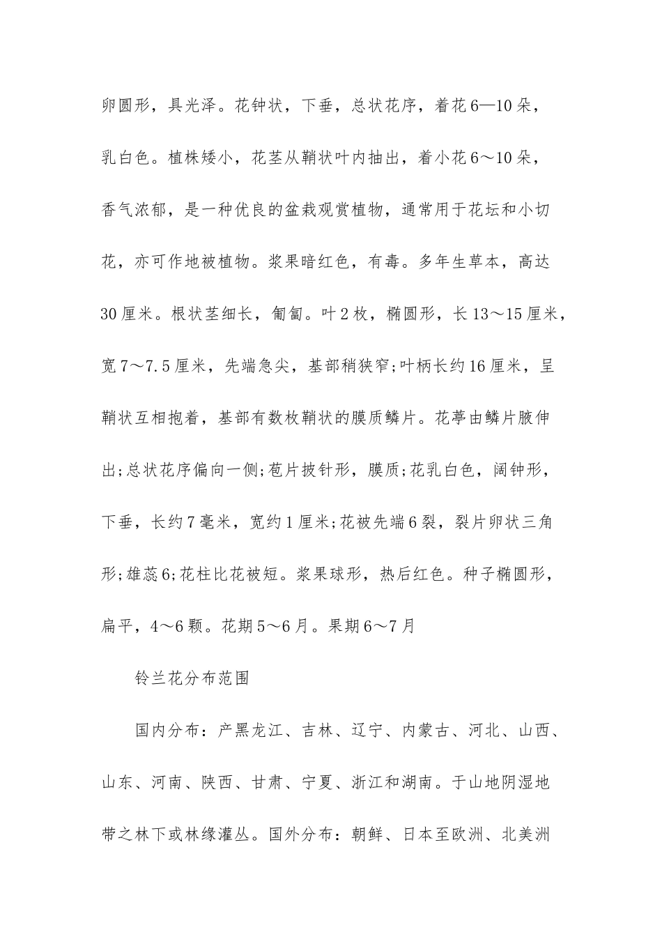 白色风信子的花语-白色铃兰的花语_第3页