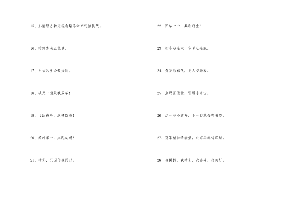 的公司年会主题横幅标语_第3页