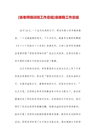 省维稳工作总结