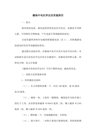 磁场中电化学反应实验报告