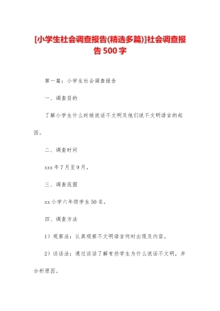 社会调查报告500字