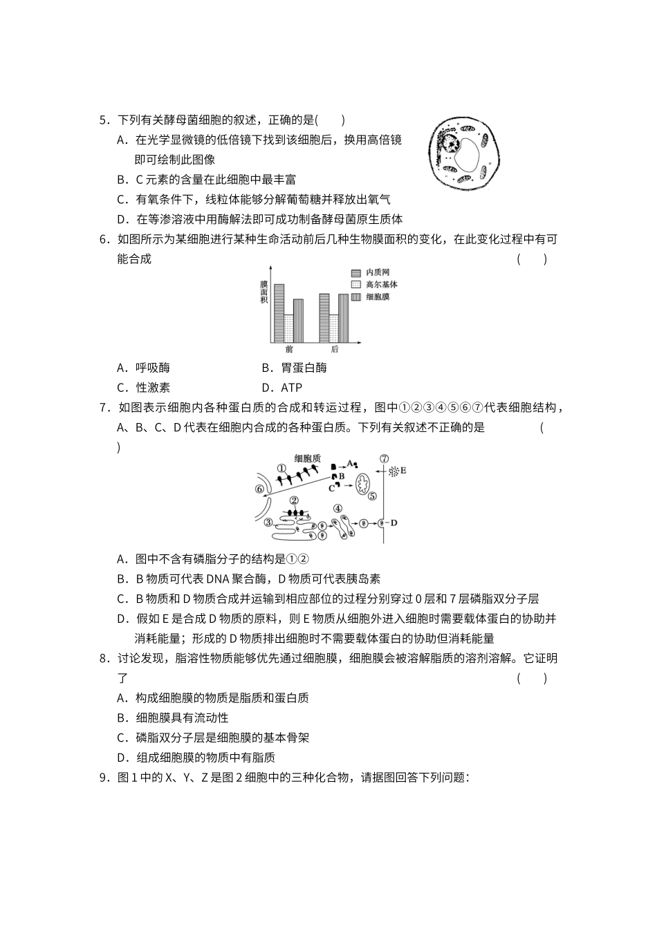 第三章--细胞基本结构单元测试题_第2页